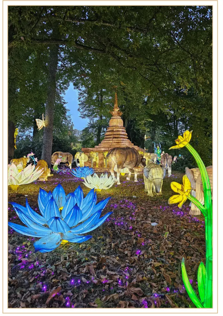 Fleurs de lotus géantes et sculptures lumineuses d'animaux au coeur du parcours des Lumières Sauvages de Thoiry, dans un décor inspiré