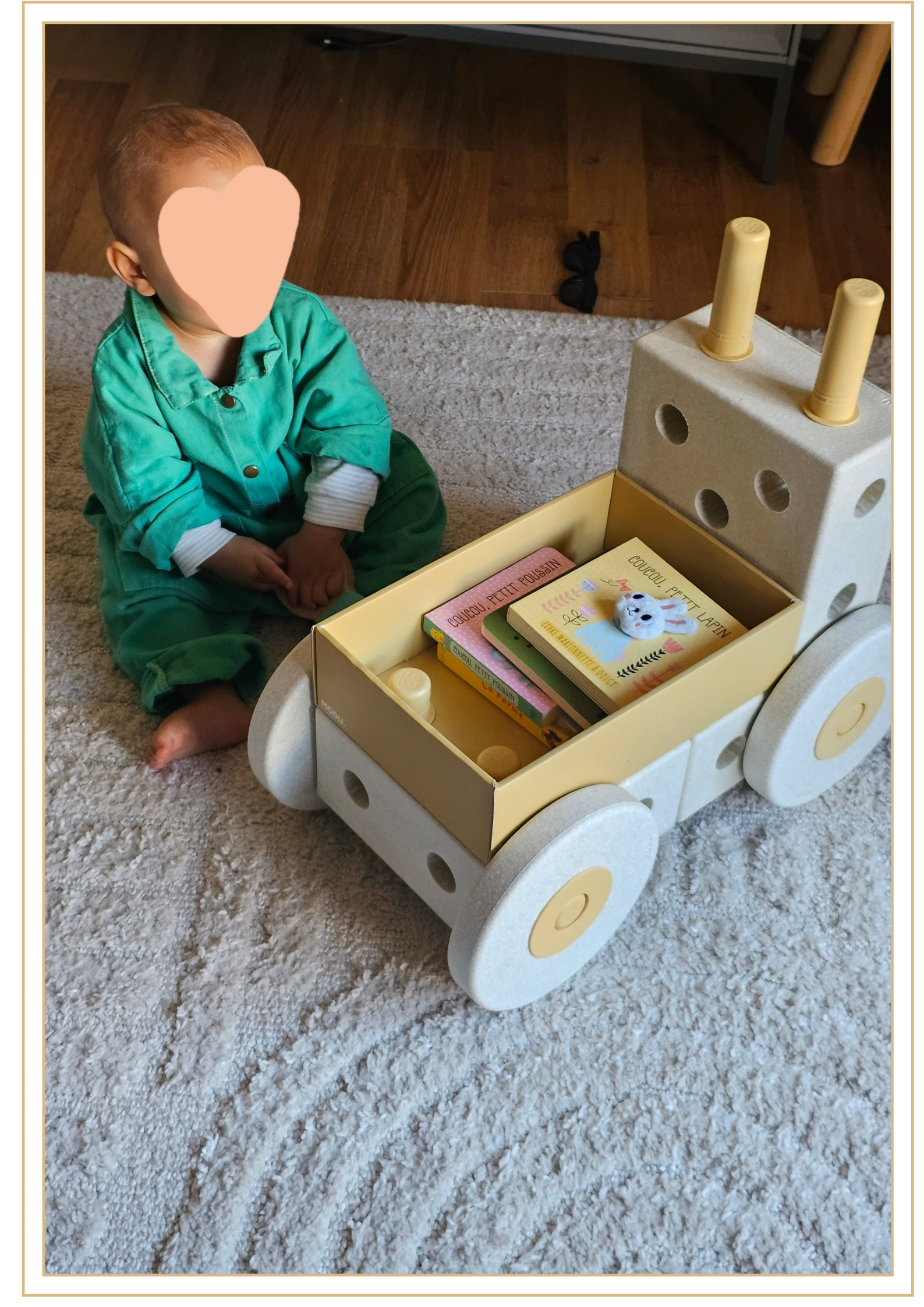 chariot de marche modu